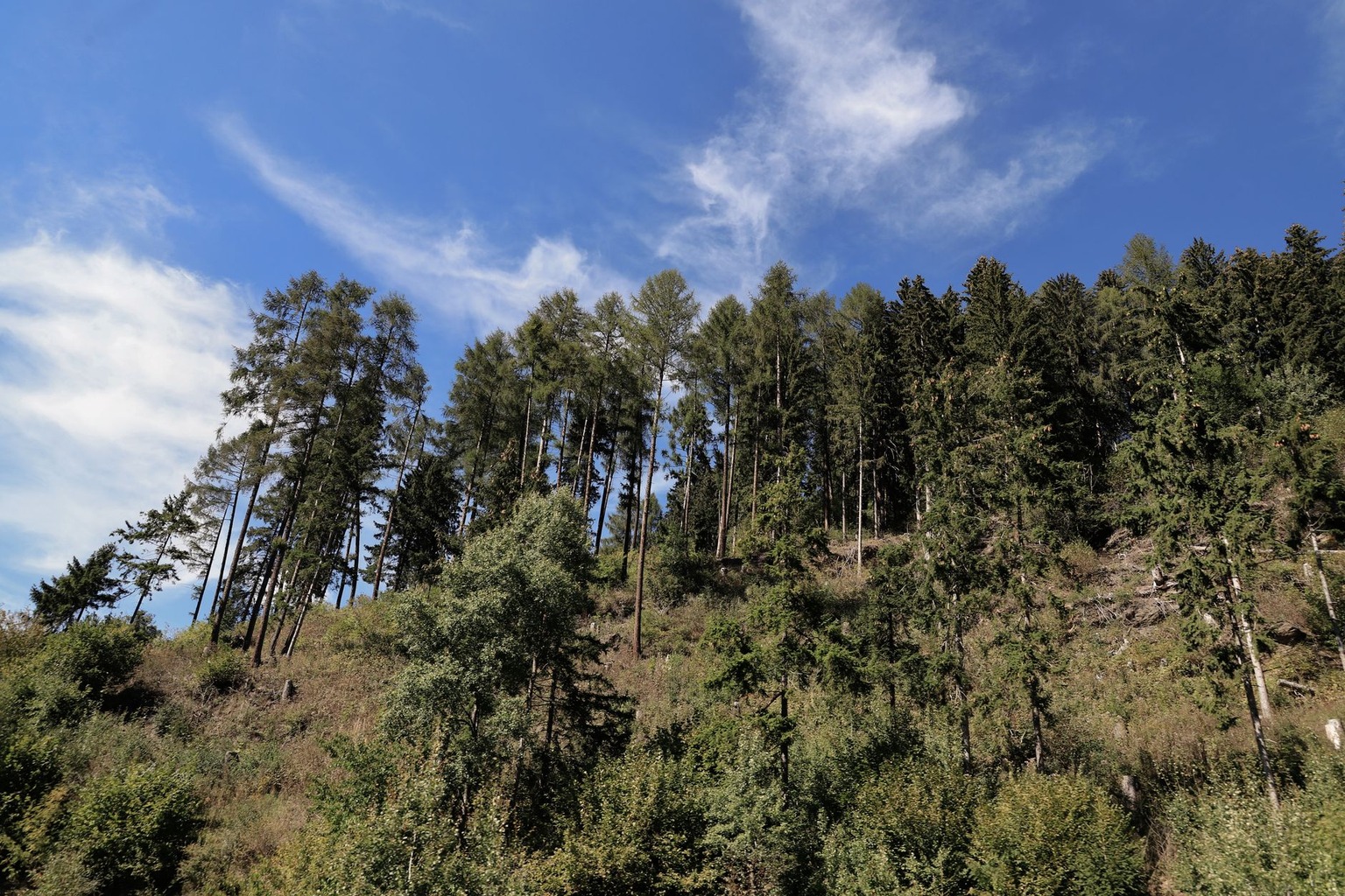 Como preparar o corpo para maratonas de trail running