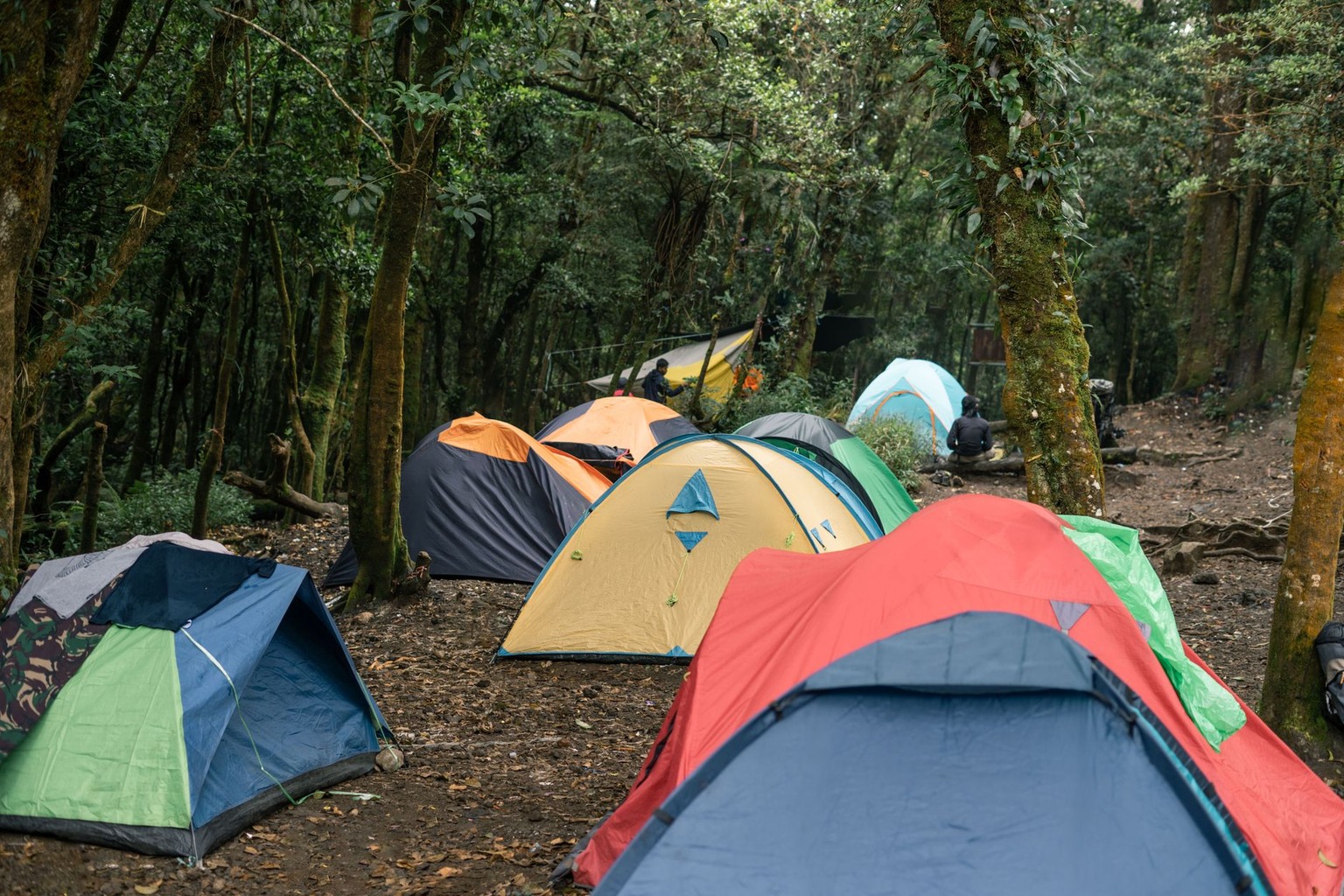 Viagem de aventura com cachorro: dicas para trilhas com pets — Dicas para acampar com seu cachorro em trilhas longas Viagem de aventura com cachorro: dicas para trilhas com pets — Dicas para acampar com seu cachorro em trilhas longas